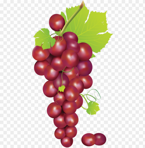 rapes vector red grape - grapes clipart transparent background PNG isolated
