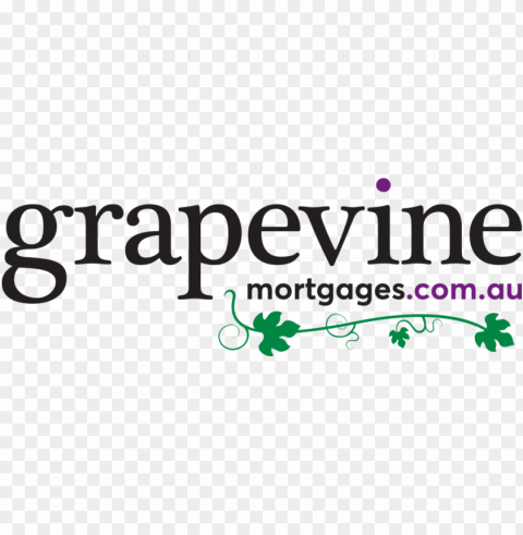 Rapevine-logo - Grapevine Transparent Background PNG Stockpile Assortment