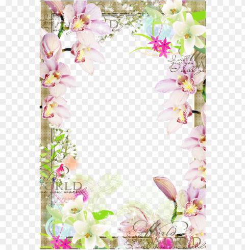 raphic black and white download picture frame clip - spring floral border PNG Image with Transparent Background Isolation