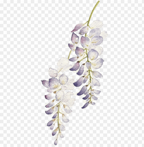 raphic flowers watercolour painting purple flower - watercolor purple flowers PNG images for websites