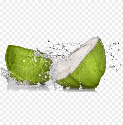 raphic freeuse stock coconut tender - tender coconut water Isolated Graphic on Transparent PNG