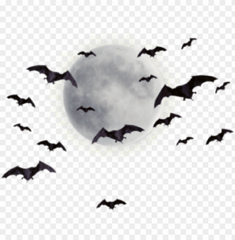 raphics moonpng - moon and bats HighQuality Transparent PNG Object Isolation