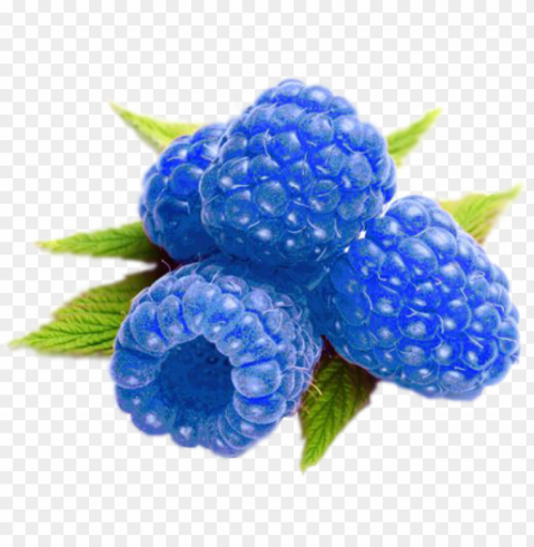 raspberries clipart cute - blue raspberry Transparent PNG picture