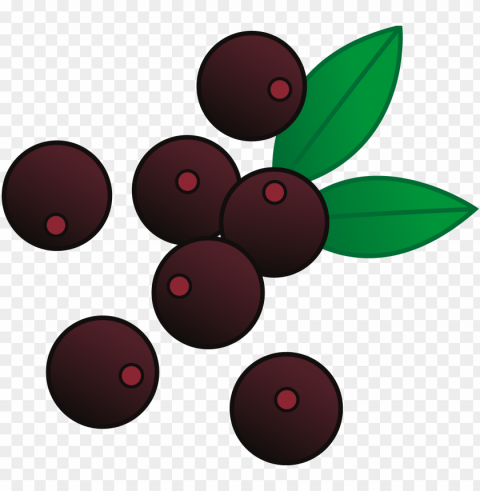 raspberries clipart raspberry fruit - berry clipart PNG images no background
