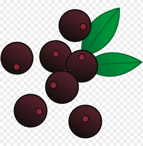 Raspberries Clipart Raspberry Fruit - Berry Clipart PNG Images No Background