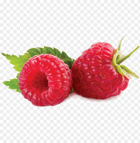 raspberry - beneficios de la mora PNG images with alpha transparency diverse set PNG transparent with Clear Background ID 306f216e