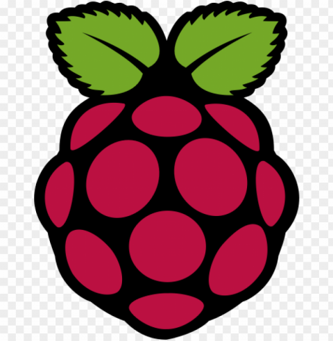 raspberry pi logo Clear PNG pictures broad bulk