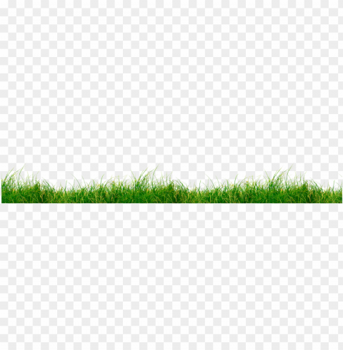 rass-2 - sweet grass PNG files with clear backdrop assortment