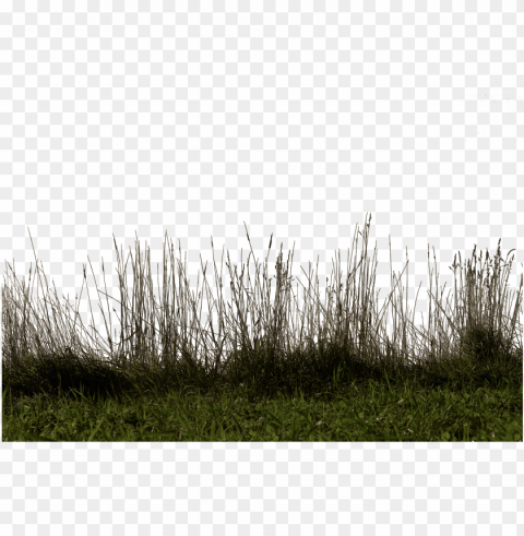 rass and soil images royalty free download - portable network graphics ClearCut PNG Isolated Graphic