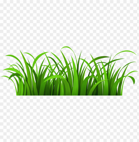 rass patch clipart - grass and flowers clipart Clear background PNG clip arts