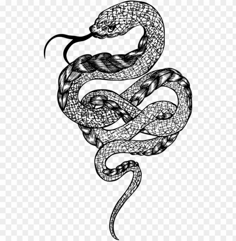rattlesnake boa constrictor - snake illustration PNG with no registration needed