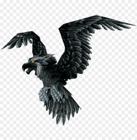 raven bird Isolated Graphic on HighResolution Transparent PNG