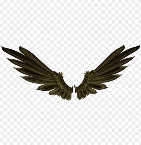 raven wings PNG images with alpha channel diverse selection