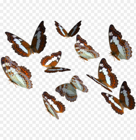 real butterfly cliparts - butterfly PNG photo
