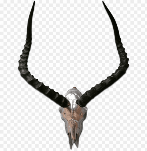 real impala skull silver spray painted african antelope - antelope Transparent PNG Object with Isolation