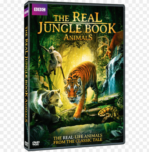 real jungle book animals PNG Image Isolated with High Clarity