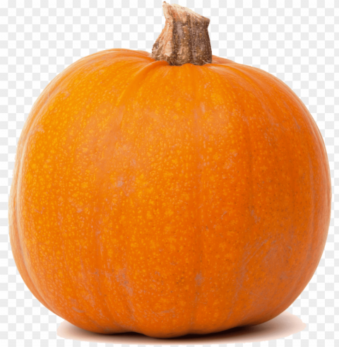 real pumpkin transparent - pumpkin clipart transparent background PNG images with no watermark