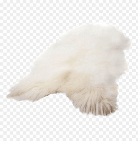 real sheep Clean Background Isolated PNG Icon