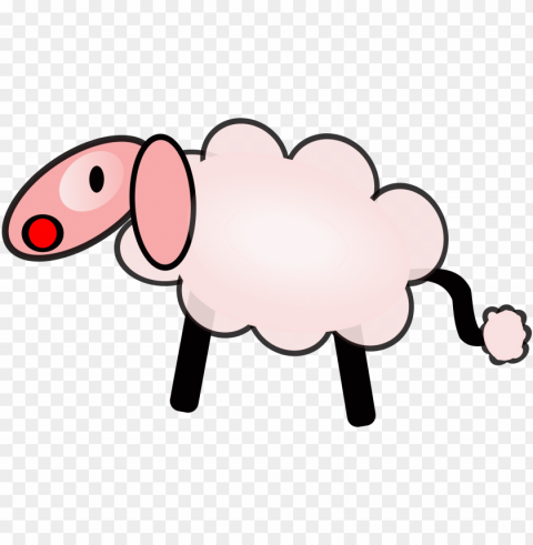 real sheep Clean Background Isolated PNG Object