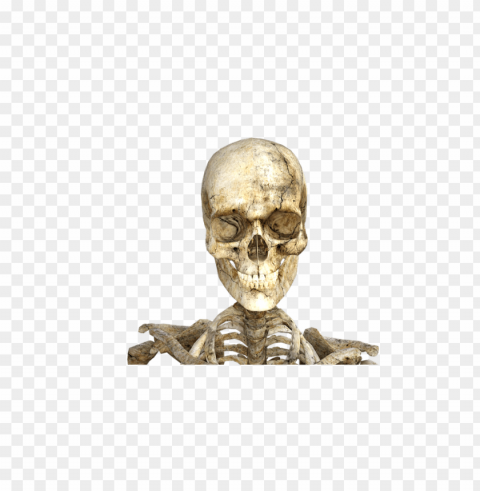 real skeleton halloween Clear PNG pictures assortment PNG transparent with Clear Background ID c6ed27a2