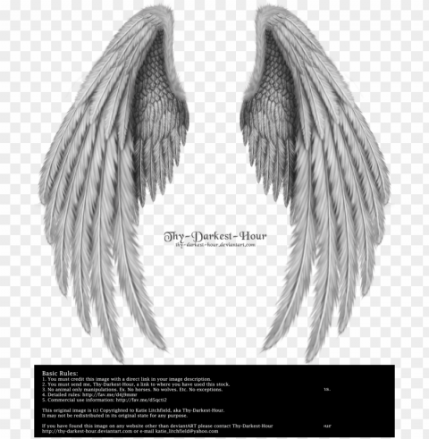 realistic angel wings side view download - folded wings PNG Image Isolated with Transparent Detail