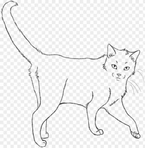 realistic cat base - cat PNG Image with Clear Isolated Object