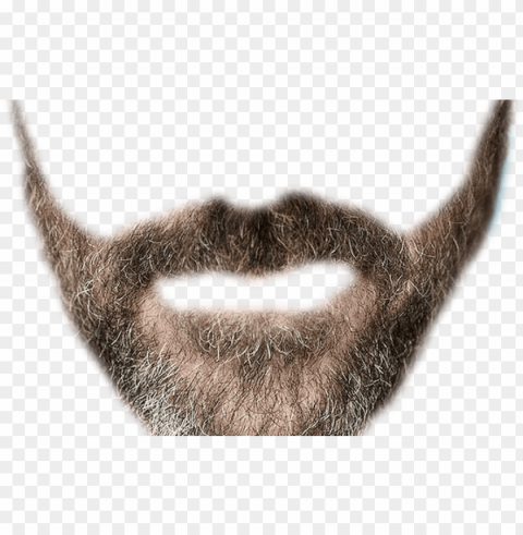 realistic mustache transparent - much dadhi Clean Background Isolated PNG Character