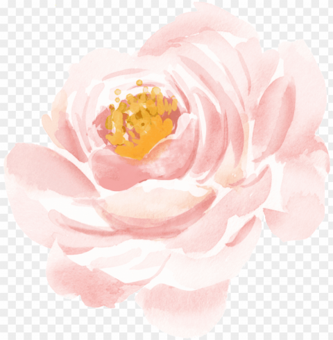 realistic watercolor flower material - pink Isolated Element with Transparent PNG Background