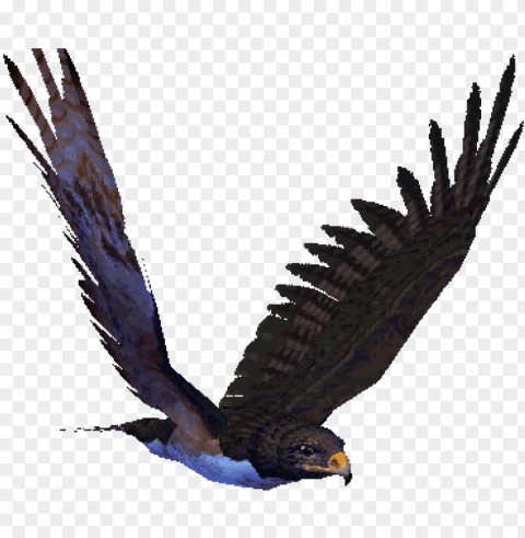 reat animated eagle gifs at best animations - flying hawk animated gif Clear Background PNG Isolated Graphic