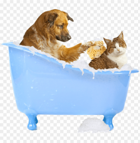 reat image of dog bathing a cat - dog and cat bath Transparent PNG images for design
