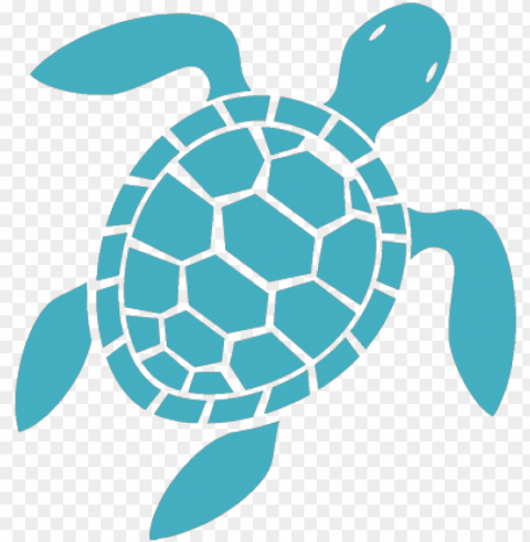 reat pricing - sea turtle icon Transparent Background Isolated PNG Item PNG transparent with Clear Background ID 6360fe25