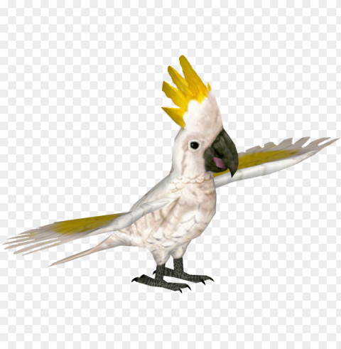 reater sulphur-crested cockatoo - yellow-crested cockatoo PNG files with no background assortment