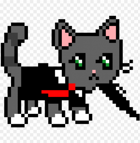 receptionist cat - pixel base cat Clear Background PNG with Isolation