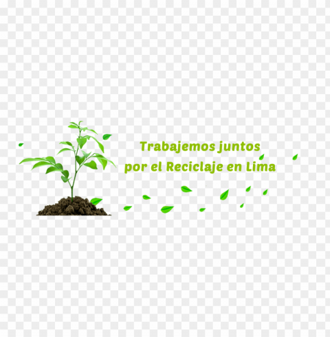 reciclar HighResolution PNG Isolated Illustration