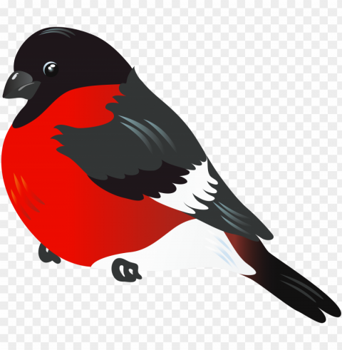 Red Bird Isolated Artwork With Clear Background In PNG