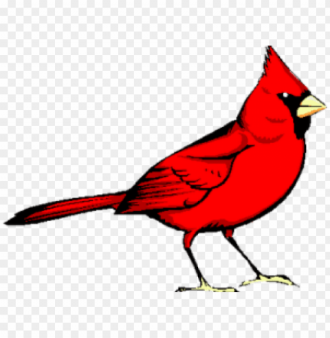 red bird Isolated Icon in Transparent PNG Format PNG transparent with Clear Background ID bf6fd391