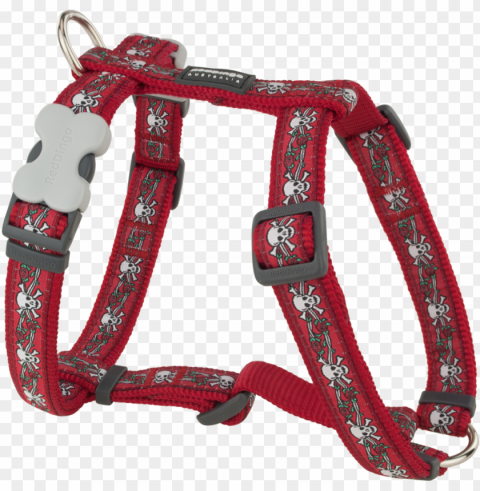 red dingo designer dog harness - red dingo skull & roses small dog harness Transparent Background Isolation in PNG Image