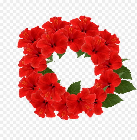 red flower crown transparent PNG Graphic Isolated on Clear Background Detail PNG transparent with Clear Background ID 1949850c