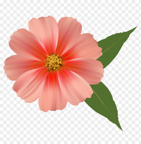 Red Flower Crown Transparent PNG Graphic With Isolated Transparency