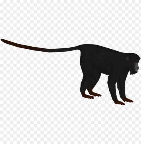 red-handed howler monkey - howler monkey zoo tycoon HighResolution Isolated PNG with Transparency