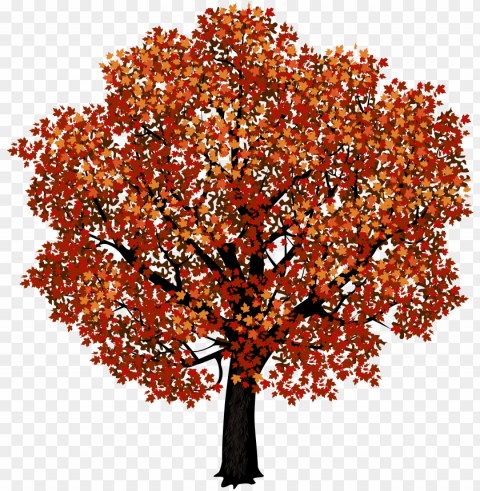 red maple tree clipart picture - red maple tree clip art Transparent PNG images pack