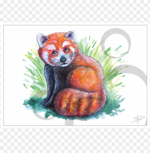 red panda quickie - red fox PNG images with no attribution PNG transparent with Clear Background ID 4be91fd2