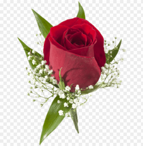 red rose boutonniere - colonial house of flowers Clear PNG