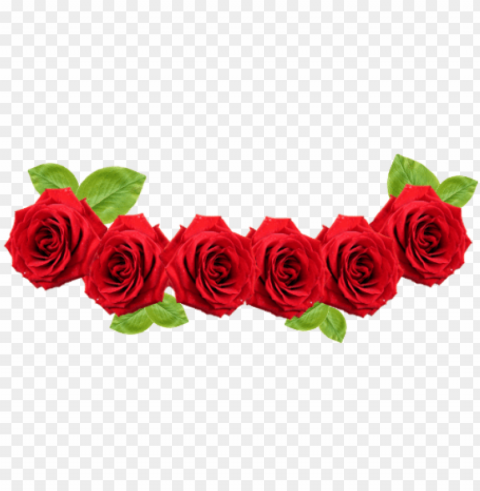 red rose flower - red flower crown Transparent PNG images extensive variety