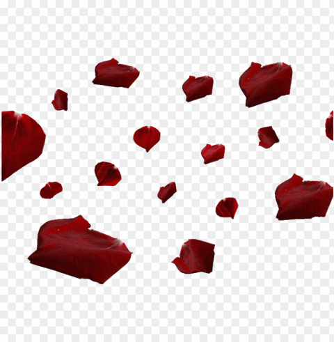 red rose petals PNG files with transparent backdrop complete bundle