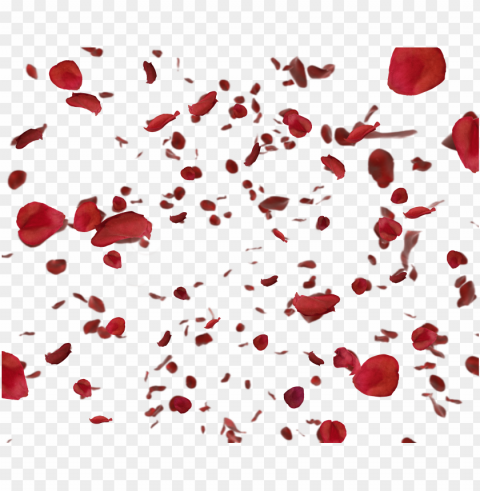 red rose petals - 薔薇 花びら フリー 素材 PNG Image with Isolated Subject