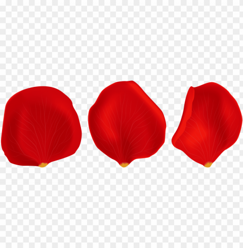 red rose petals clip art - red rose petals background PNG transparent stock images