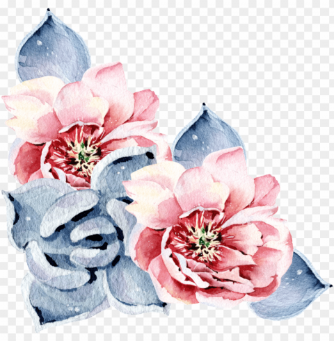 red succulent flower watercolor hand painted - watercolor painti PNG Graphic with Transparent Isolation