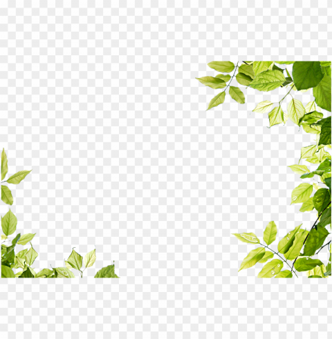 reen background transparent image - leaves frame PNG with alpha channel for download