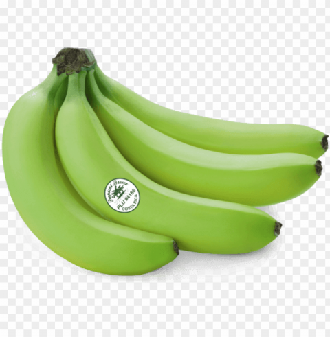 reen banana - green banana transparent Free download PNG with alpha channel extensive images